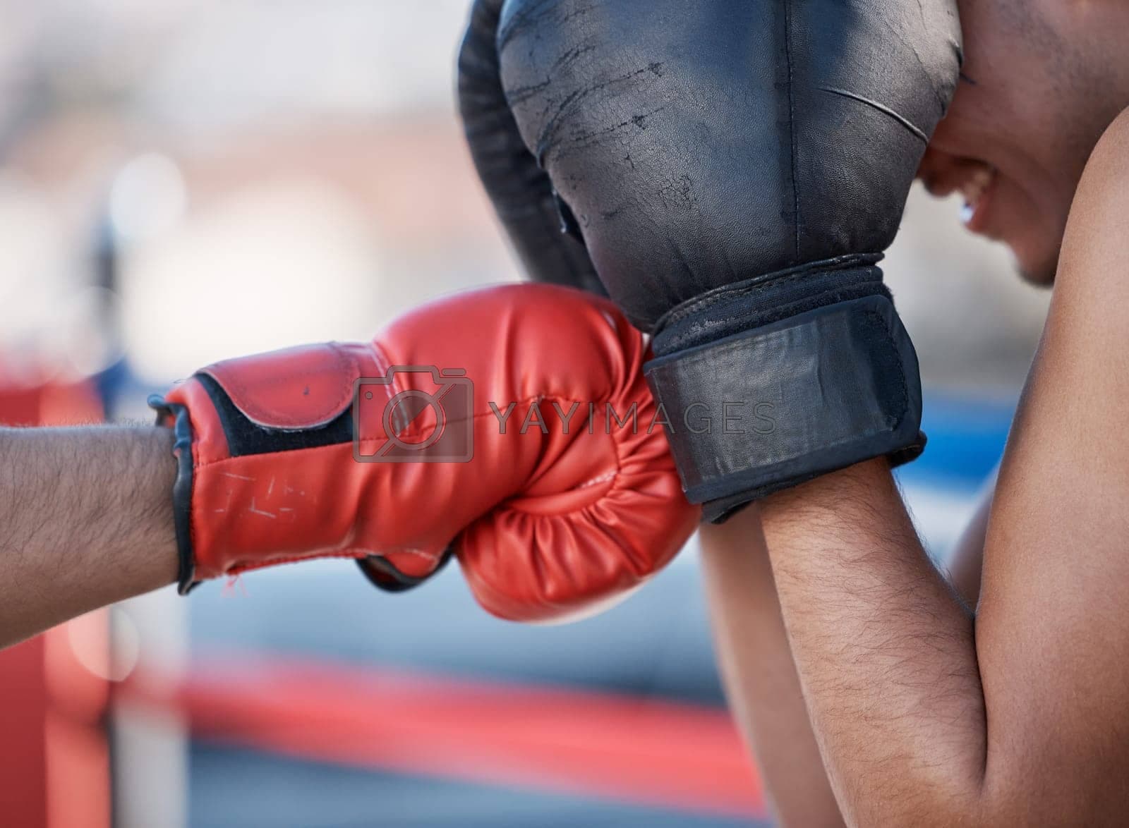 Zum Ratgeber für Kampfsportausrüstung auf Justsports4you – Finde die perfekte Ausrüstung für dein Training