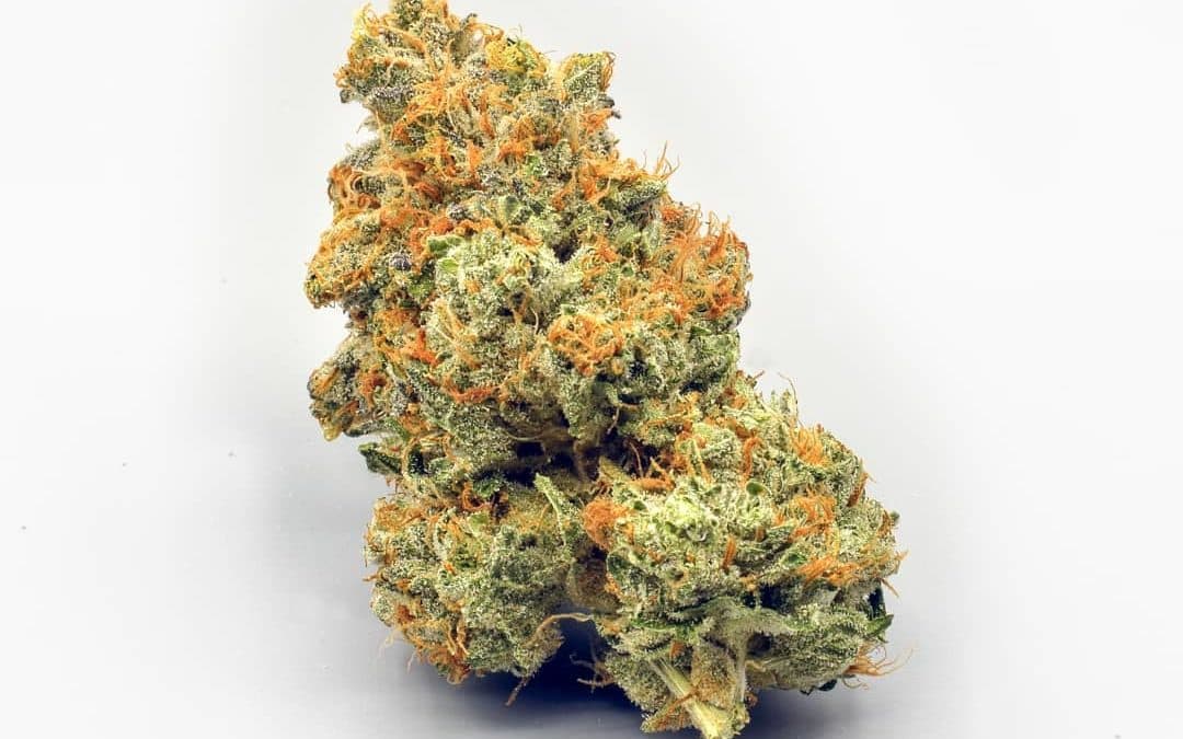 THCA Deutschland: Kaufen Sie hochwertige Blüten, Hasch und Vape-Produkte mit kostenlosem Versand in ganz Deutschland