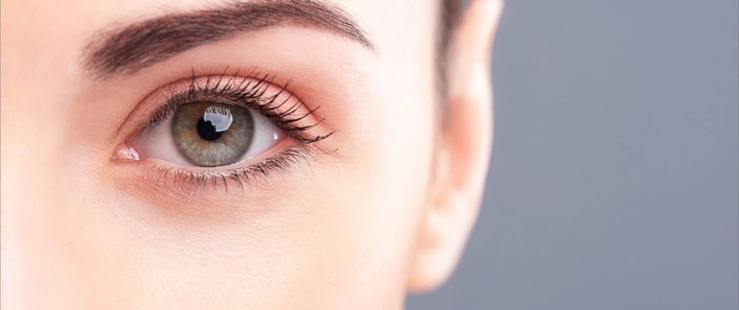 LashLink bietet professionelle Lösungen mit Zola Lamination für Wimpernverlängerungen
