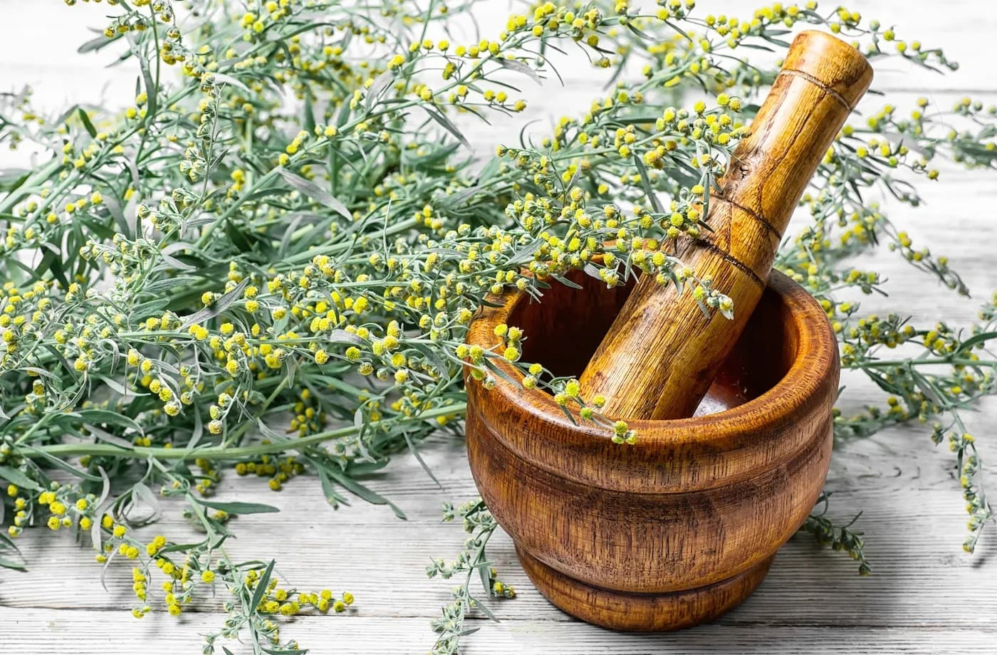 Liquid Herbal Incense vs. Traditional Incense: Which Is Better?