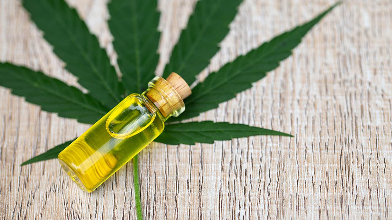 Cannabis Tinktur herstellen – Ein Leitfaden inspiriert von Wernard Bruining’s Pionierarbeit