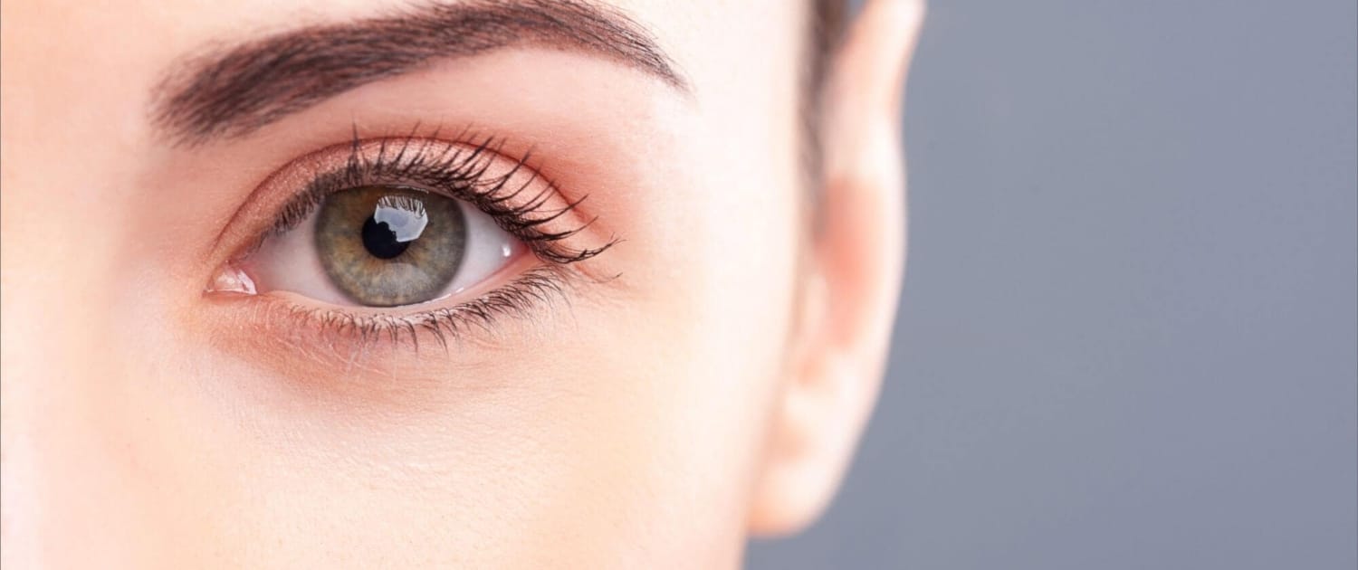 LashLink bietet professionelle Lösungen mit Zola Lamination für Wimpernverlängerungen